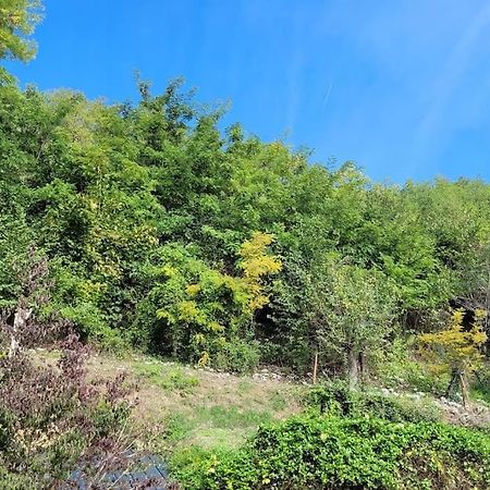 Le Petit Paradis Nazelles-Negron Exteriör bild
